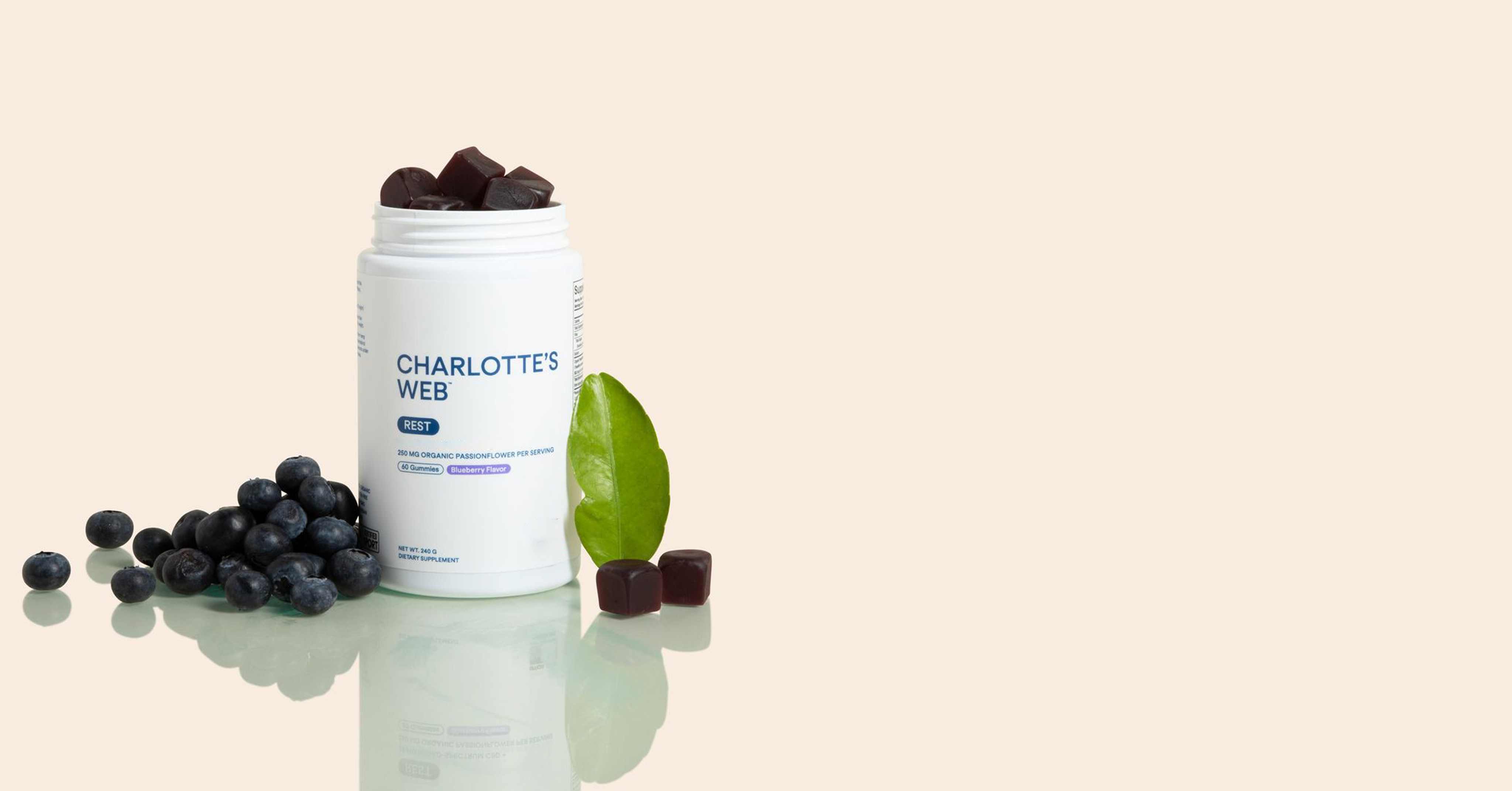 web-82-Charlotte_s_Web_r1_01B_9482_3_2_1.png