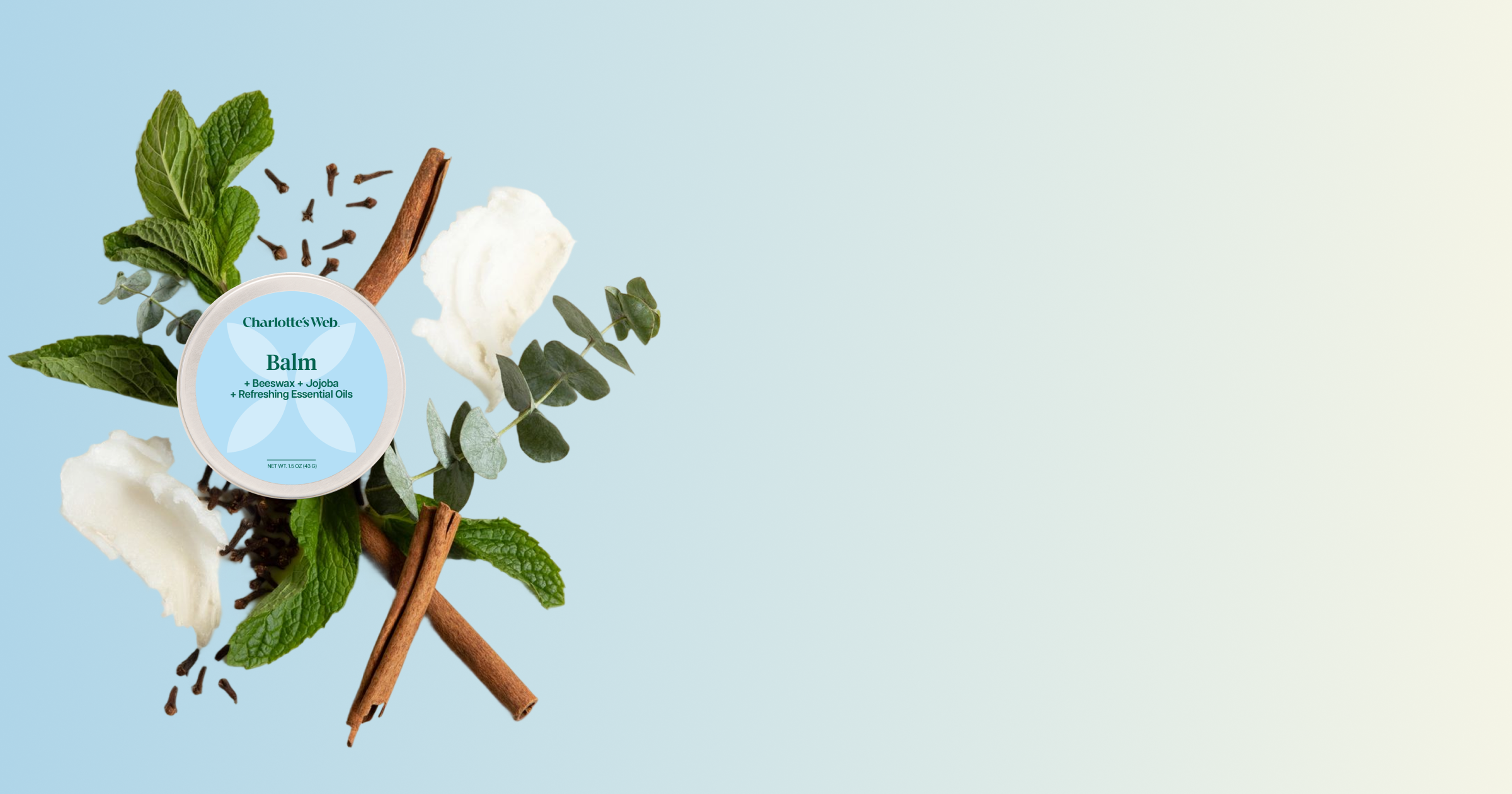 Balm container with mint leaves, cinnamon sticks, and flowers on a light blue background