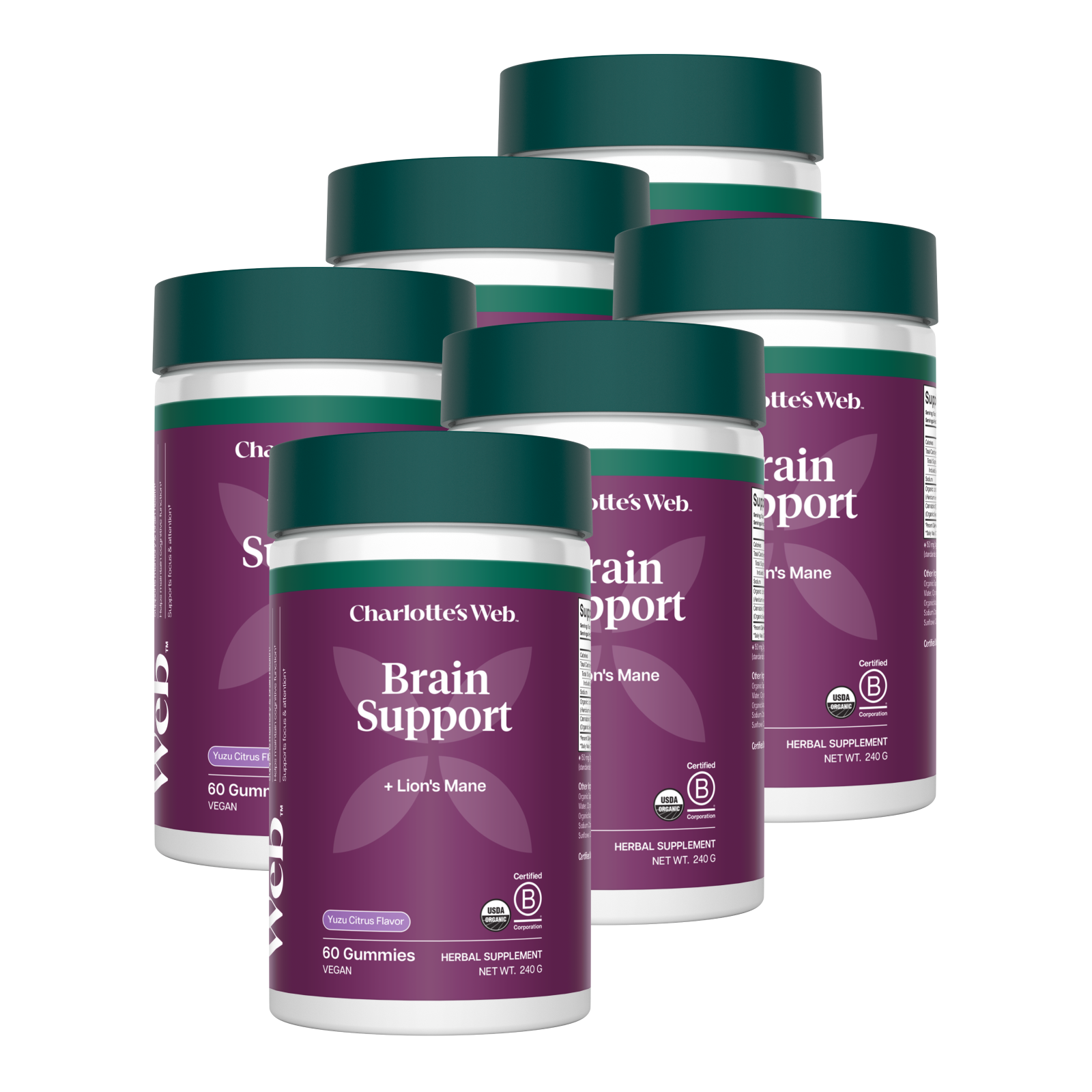 Product Image for Brain Support Hemp Gummies Bundle