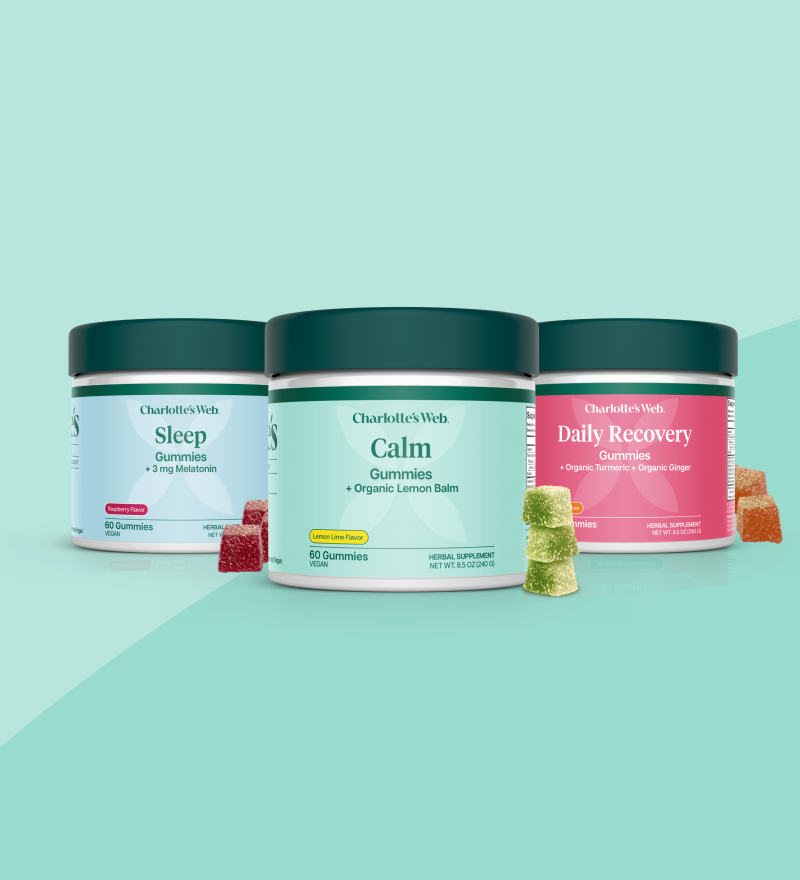 Three jars of Charlotte's Web broad-spectrum hemp gummies labeled Sleep, Calm, and Daily Recovery arranged side by side on a mint green background with small gummy placed in front of each jar.