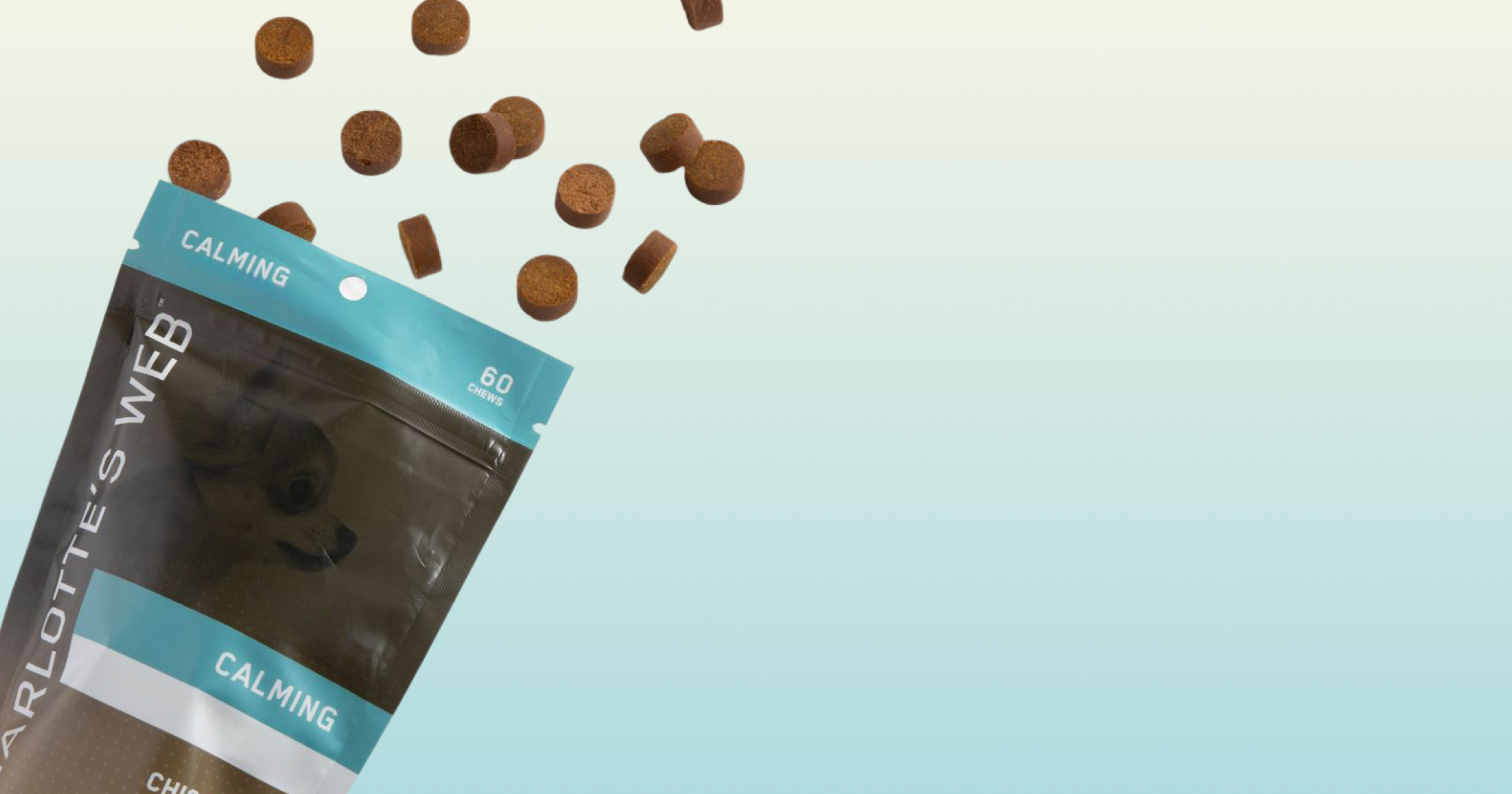 Bag of Charlotte's Web calming treats with treats falling out on a light blue background