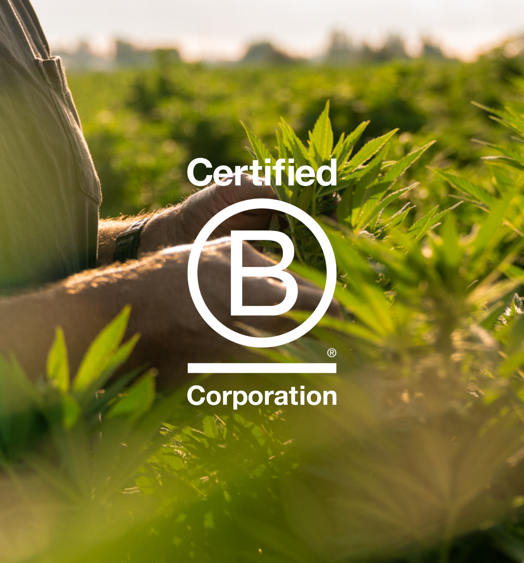Person in a field with Certified B Corporation logo overlay