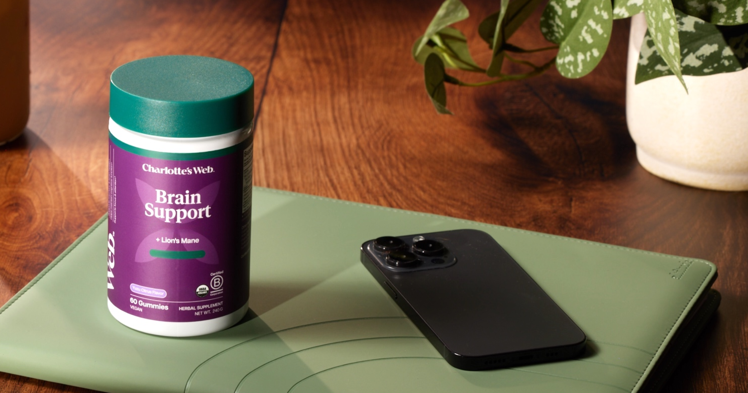 Charlotte's Web Brain Support supplement container on a green mat with a phone and plant in the background.