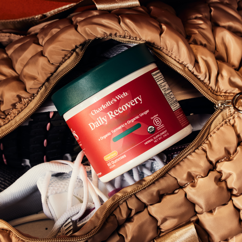 Jar of Charlotte's Web Daily Recovery supplement inside a brown bag with a shoe visible.