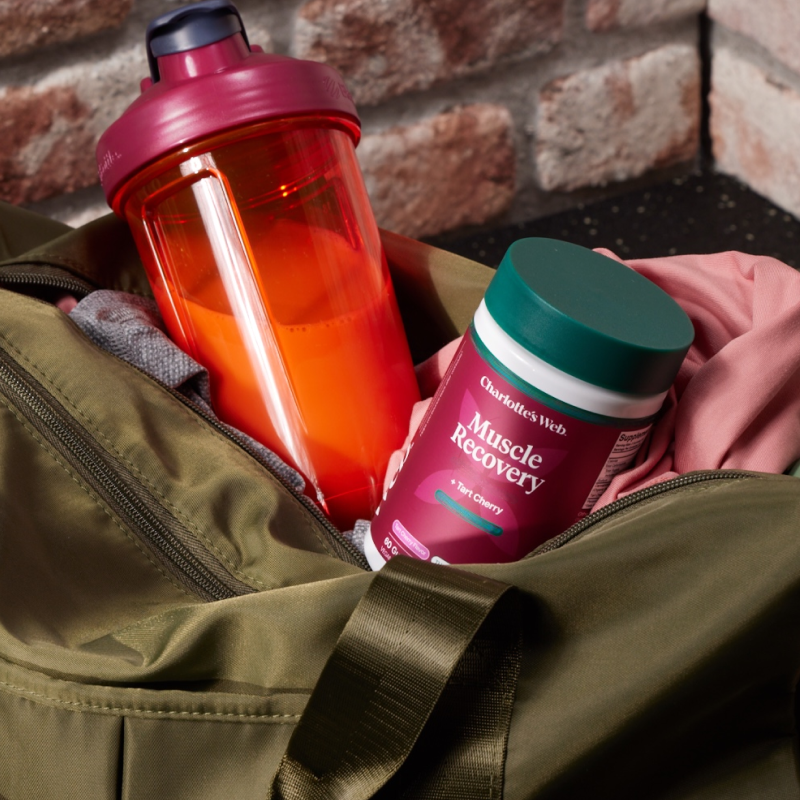 Red shaker bottle and 'Muscle Recovery' supplement container in a bag against a brick wall.
