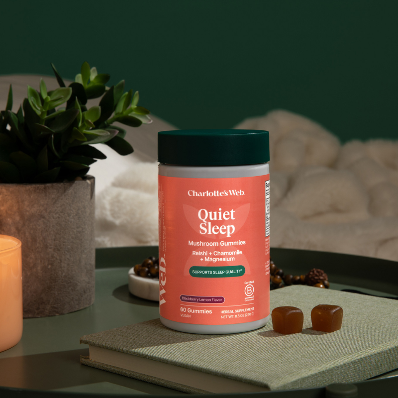 Jar of Charlotte's Web Quiet Sleep gummies on a table with a plant and book in the background