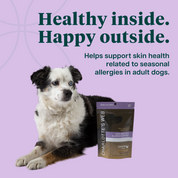 Product Image for Dog with a product package on a purple background with text about seasonal allergies.