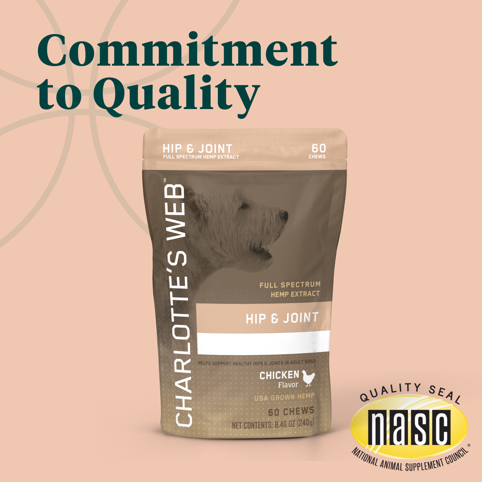 Product Image for Charlotte&#39;s Web Hip &amp; Joint supplement package with a bear illustration on a beige background, featuring the NASC quality seal.