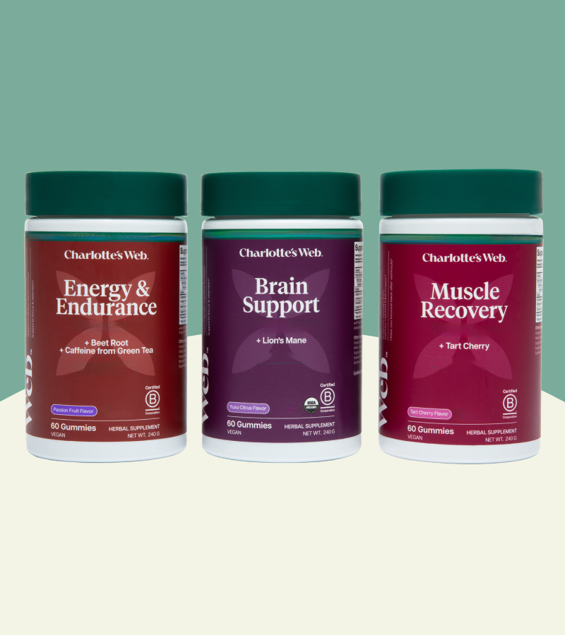Three containers of Charlotte's Web gummies for Energy & Endurance, Brain Support, and Muscle Recovery on a light green background.