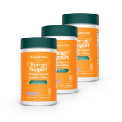Product Image for Energy Support Mushroom Gummies Bundle