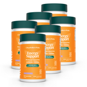 Product Image for Energy Support Mushroom Gummies Bundle
