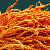 Product Image for Close-up of orange strings against a dark green background