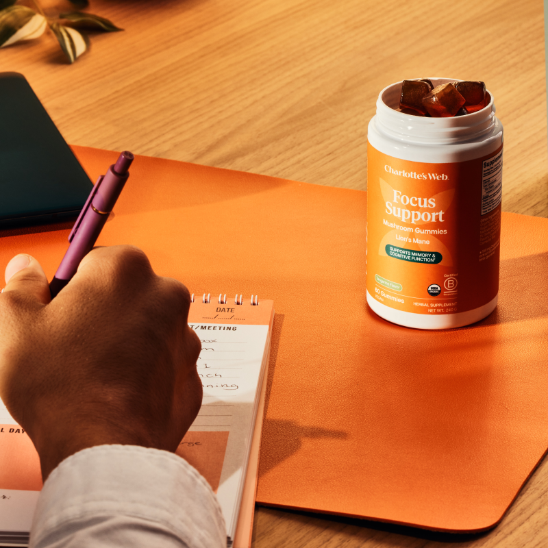 Person writing in a notebook with a bottle of Charlotte's Web Focus Support on an orange surface.