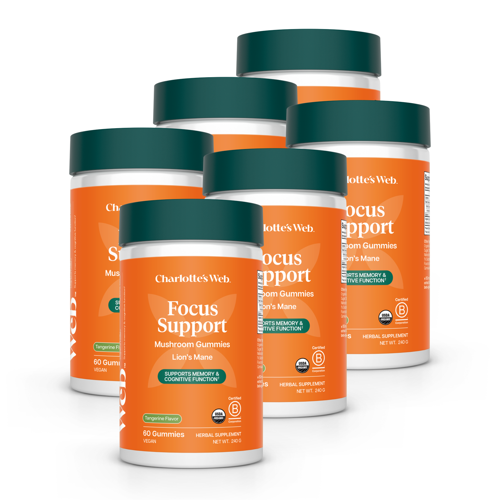 Product Image for Focus Support Mushroom Gummies Bundle