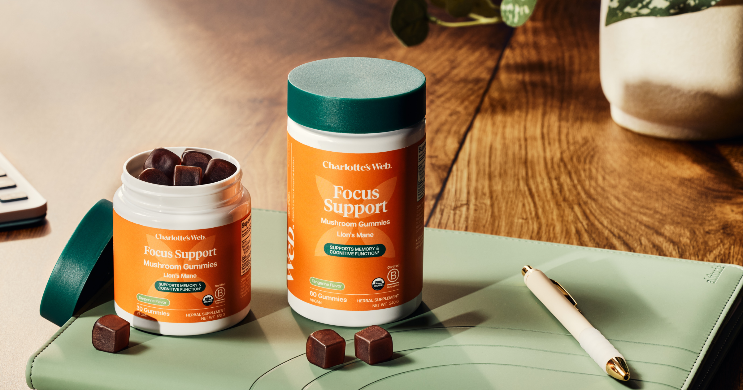 Two containers of Charlotte's Web Focus Support supplements on a wooden surface with a pen and notebook.