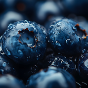 Product Image for Close-up of blueberries with water droplets on a dark background