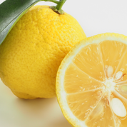 Product Image for Two lemons, one whole and one sliced, on a light background