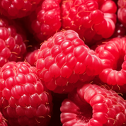 Product Image for Close-up of red raspberries