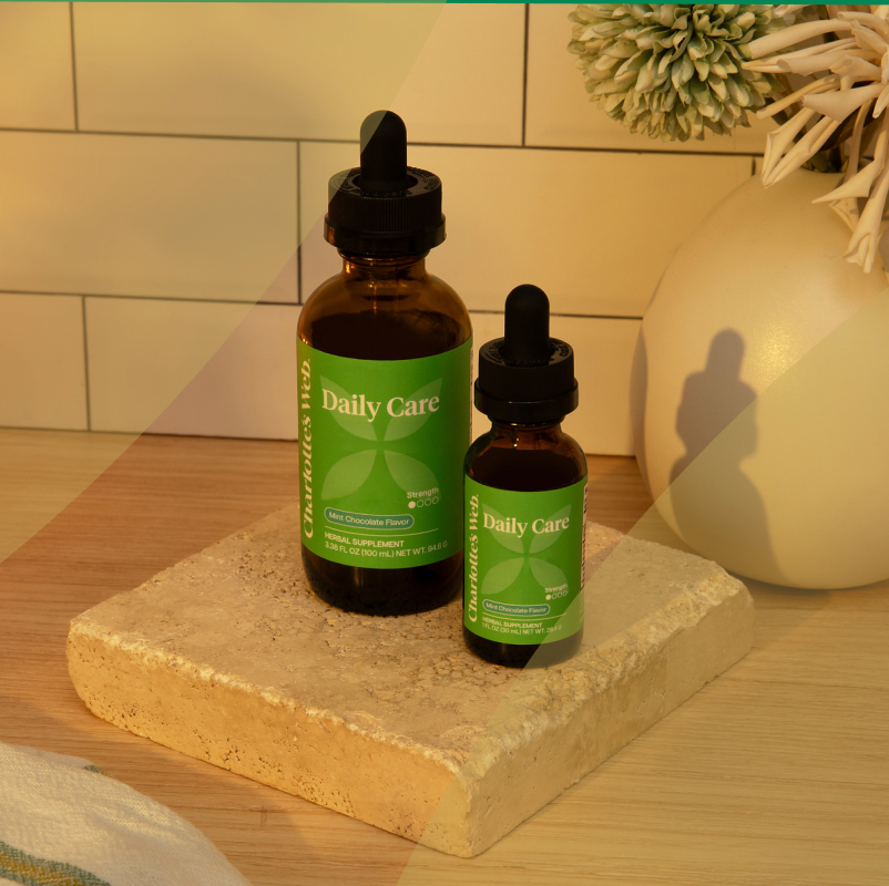 Two Daily Care Hemp oil bottles with green labels, one larger and one smaller, displayed on a stone slab next to a beige ceramic vase on a tiled surface.