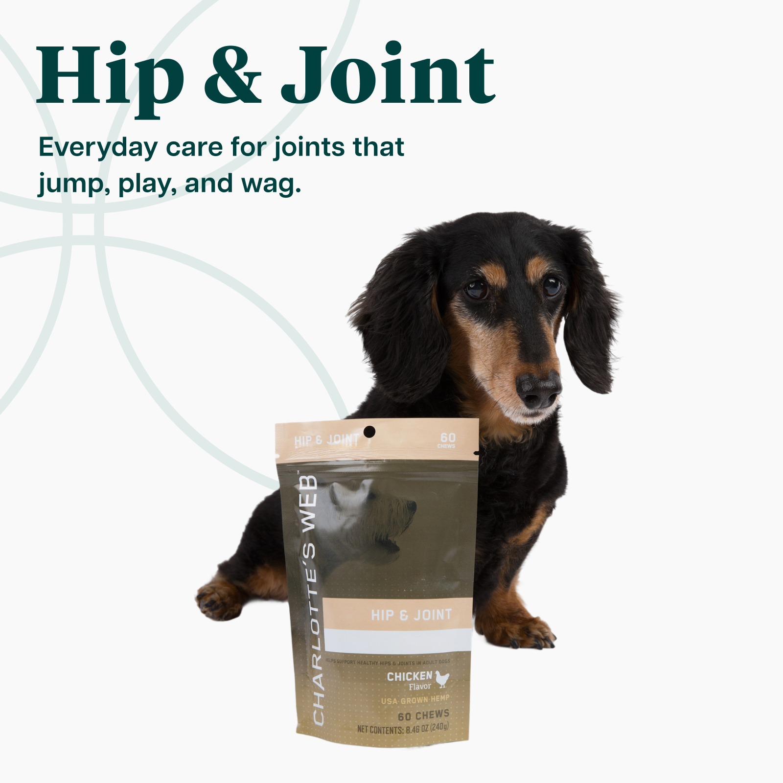 Dog holding a package of Charlotte's Web Hip & Joint supplement with text about joint care for pets.
