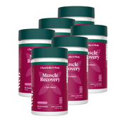 Product Image for Muscle Recovery Hemp Gummies Bundle