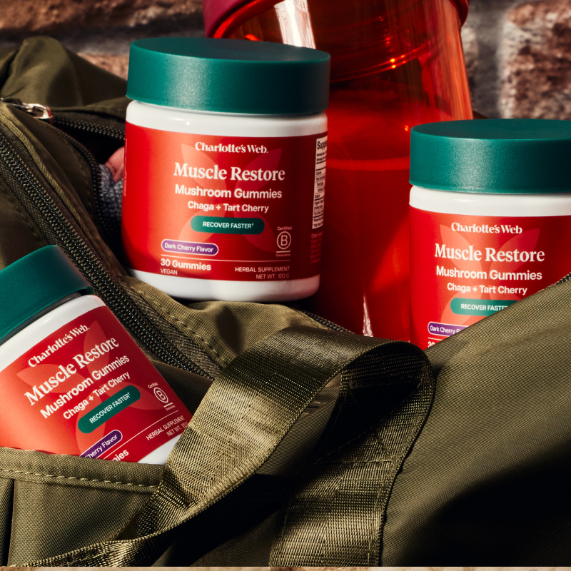 Multiple containers of Charlotte's Web Muscle Restore Mushroom Gummies on a green fabric background