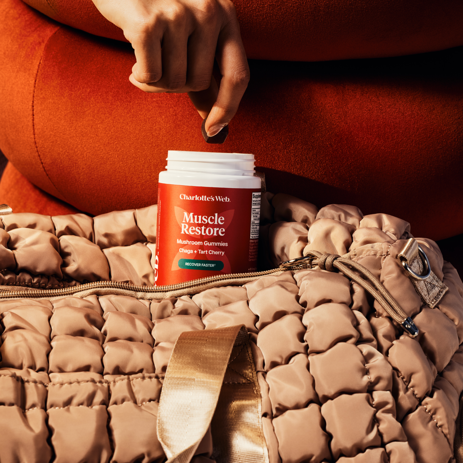 Person holding a bottle of Charlotte's Web Muscle Restore supplement on a textured surface.