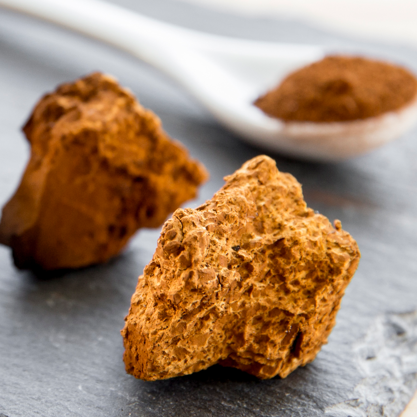 Product Image for Two large pieces of brown truffle on a dark surface with a spoonful of truffle powder in the background.