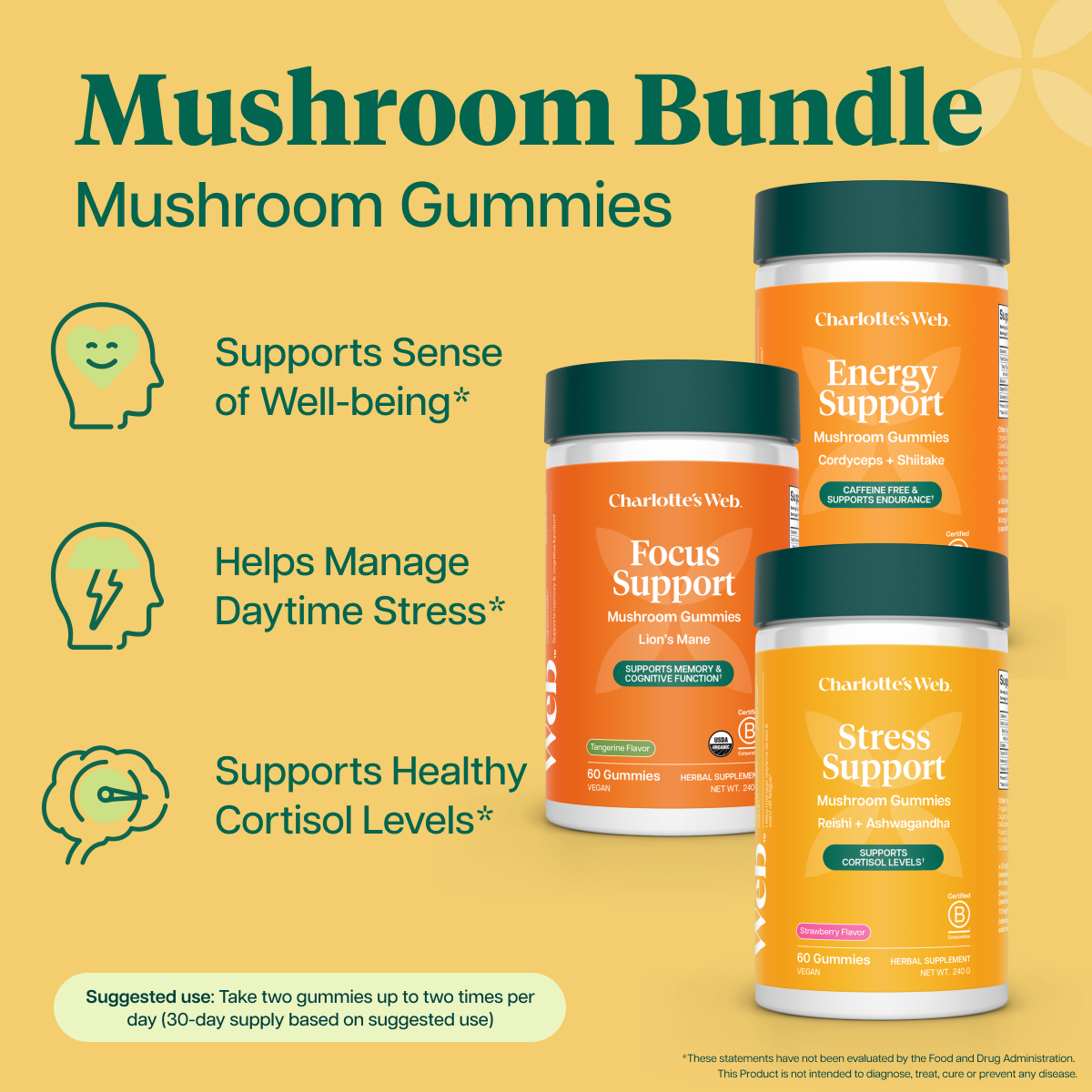 Three Charlotte Web mushroom gummies labeled Energy Support, Focus Support, and Stress Support supplement bottles on a warm yellow background with product features text and icons.