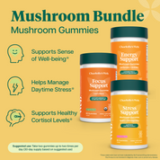 Product Image for Three Charlotte Web mushroom gummies labeled Energy Support, Focus Support, and Stress Support supplement bottles on a warm yellow background with product features text and icons.