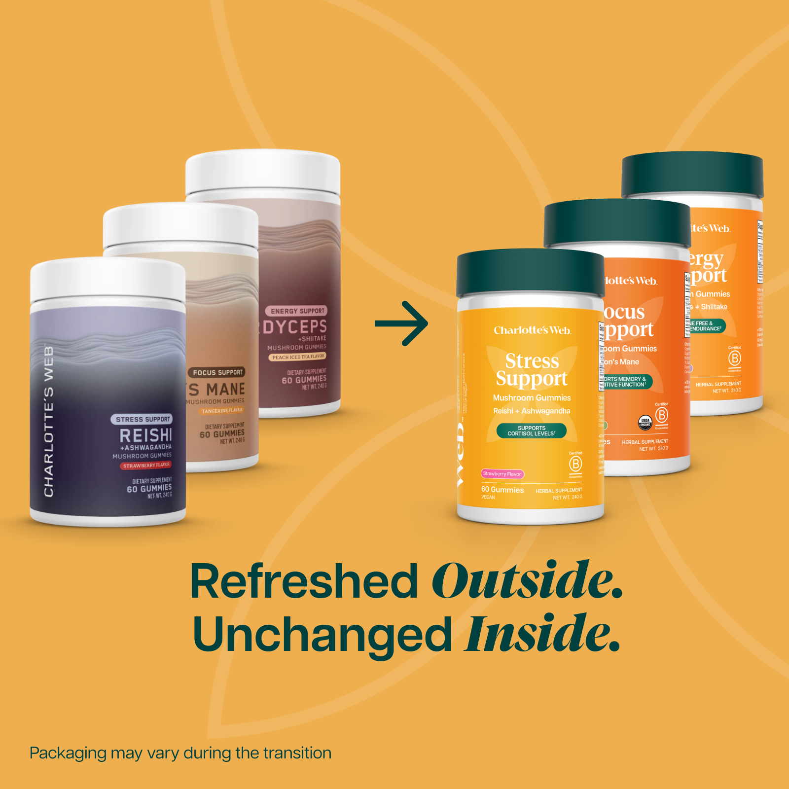 Collection of supplement containers with a focus on 'Stress Support' on an orange background.