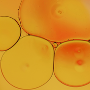 Product Image for Close-up of orange and yellow circular shapes on a yellow background