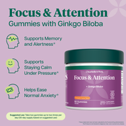 Product Image for Charlotte's Web Focus &amp; Attention gummies with ginkgo biloba, shown on a purple background with product features text and icons.