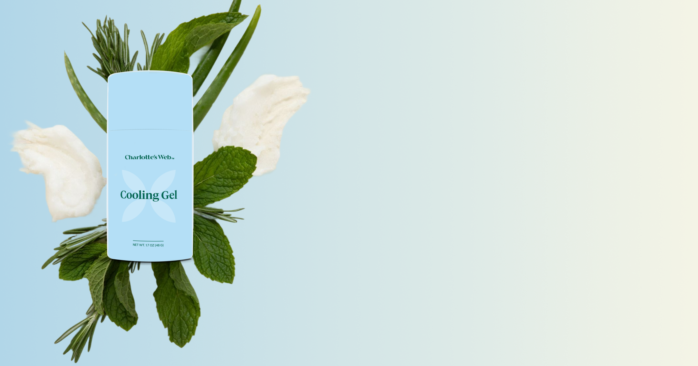 Charlotte's Web Cooling Gel on a light blue background with aloe, rosemary, and mint leaves
