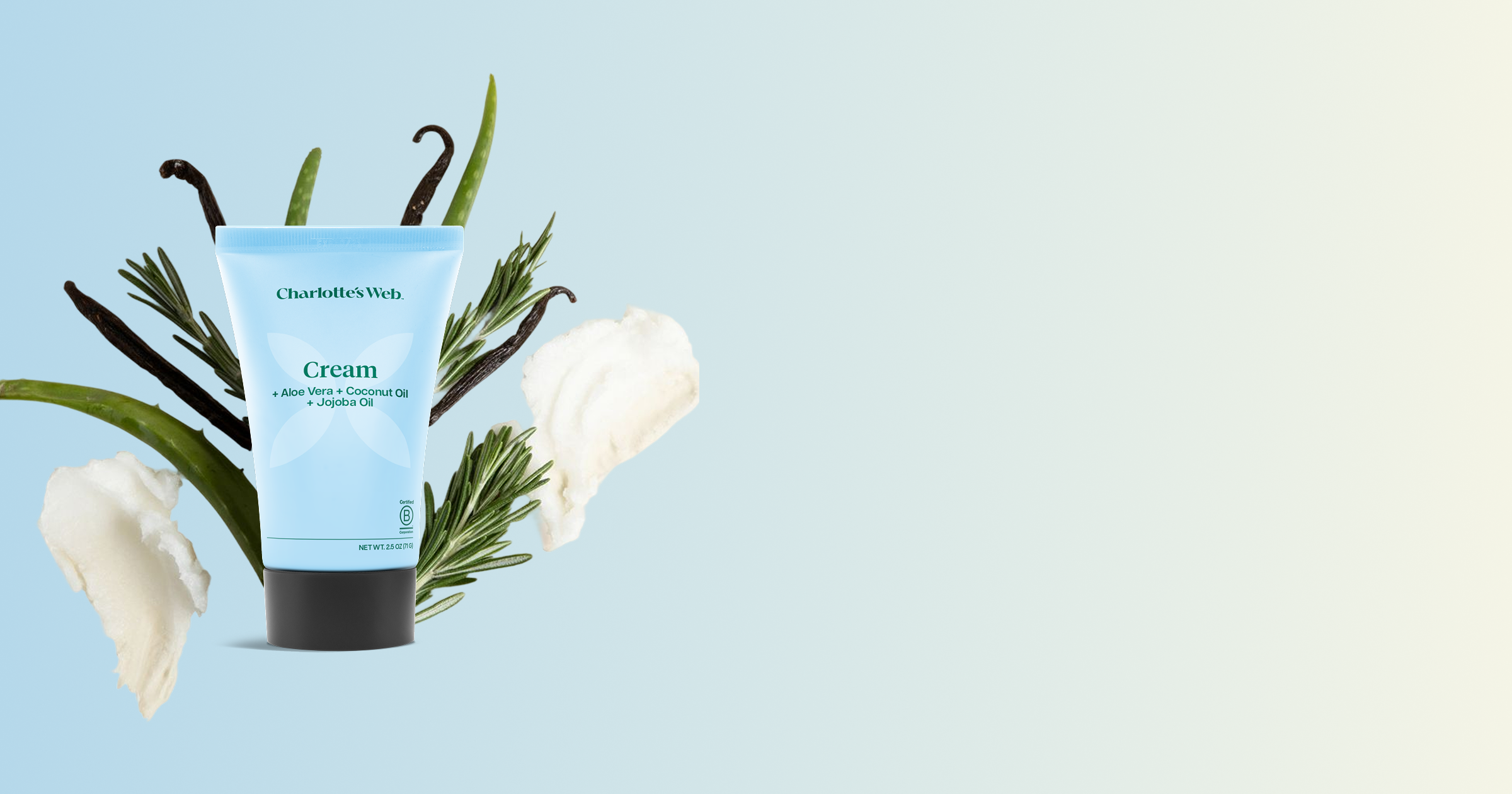 A light blue tube of Charlotte Web's Cream centered among botanicals on a pale blue background with a soft warm gradient on the right.
