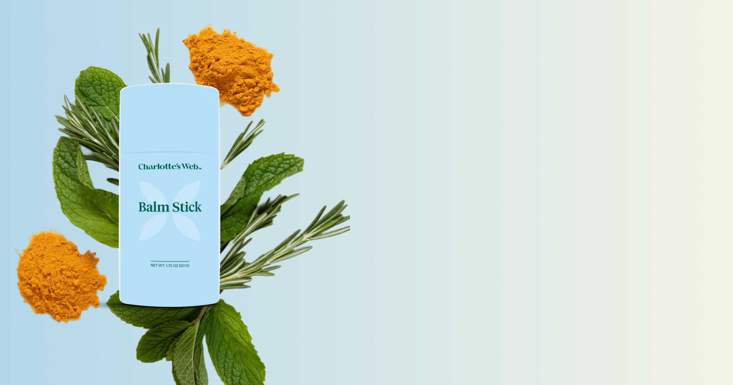 Balm Stick with herbs on a light blue background