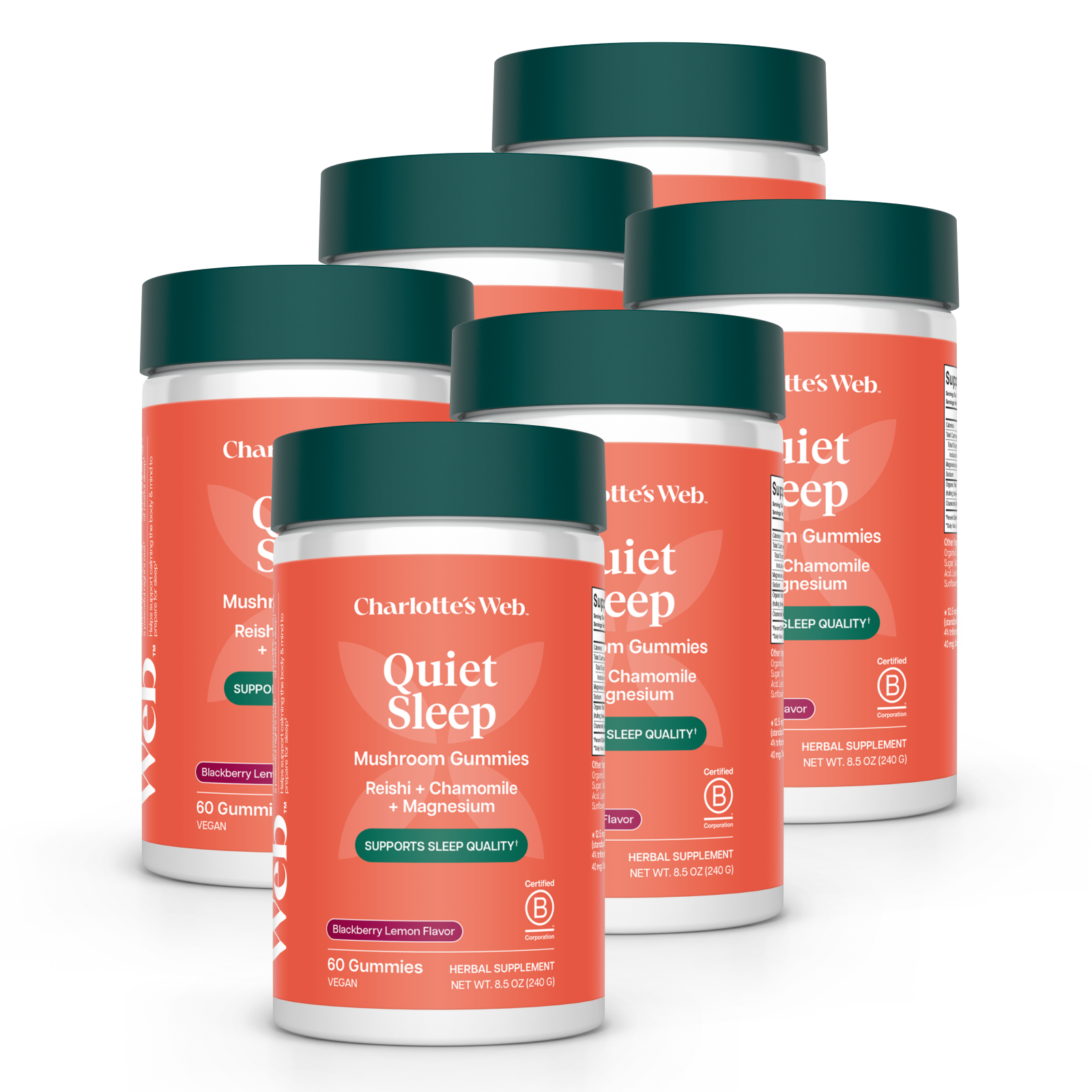 Product Image for Multiple bottles of Charlotte&#39;s Web Quiet Sleep gummies on a white background