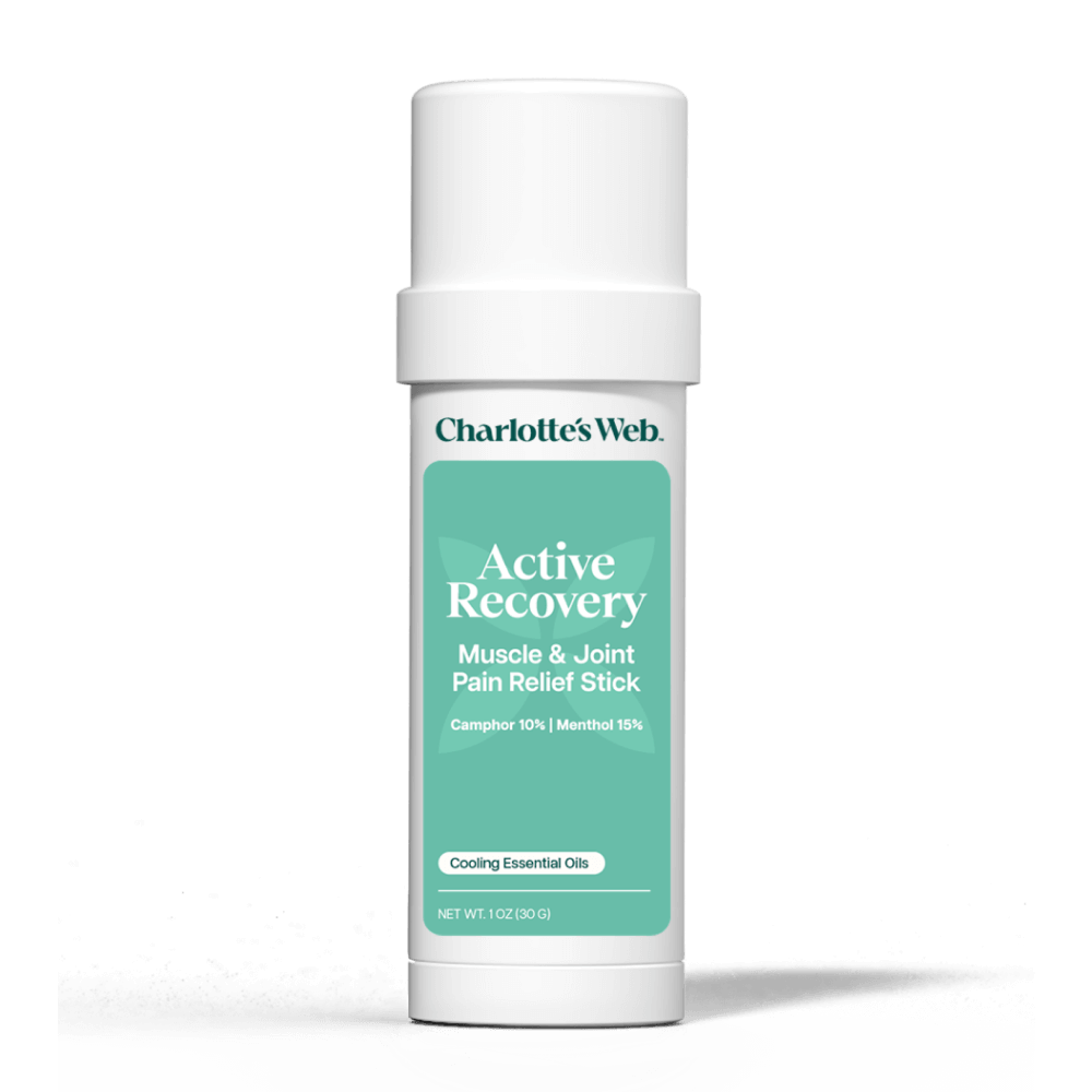 RS-PDPImage-ActiveRecoveryStick.png