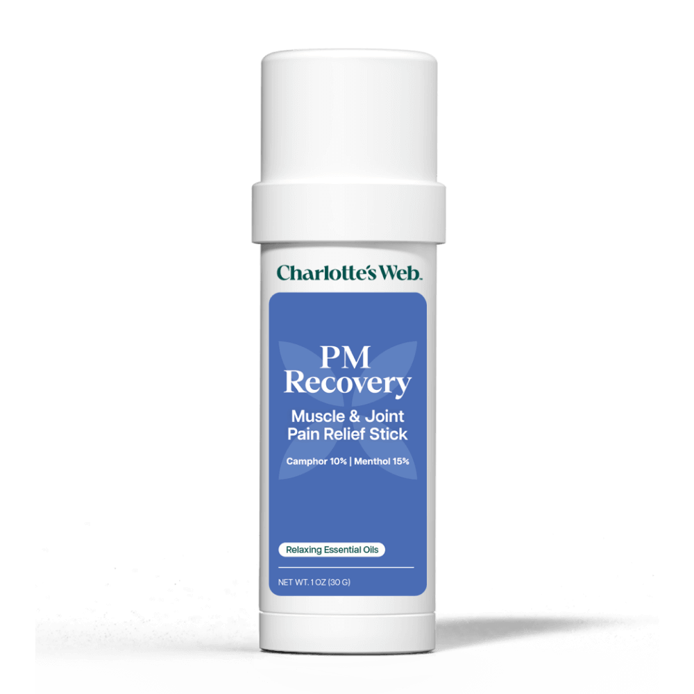 RS-PDP_Image_-_PM_Recovery_Stick.png