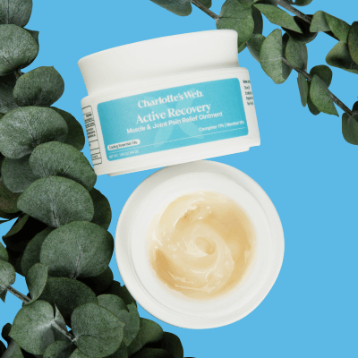Active Recovery Muscle & Joint Pain Relief Ointment