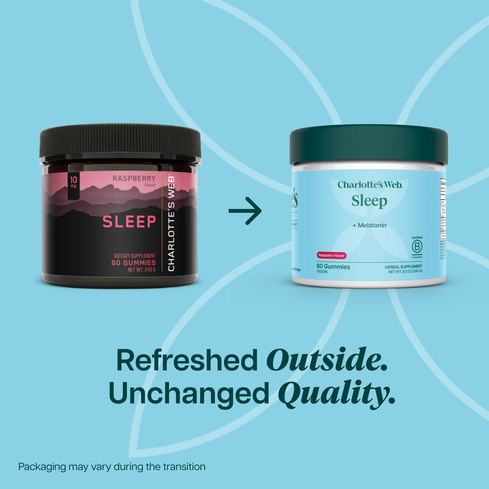 Two Charlotte's Web supplement containers on a light blue background with faint circular line graphics. On the left is a black jar labeled Raspberry Sleep Gummies, and on the right is a white tub labeled Charlotte's Web Sleep + Melatonin.