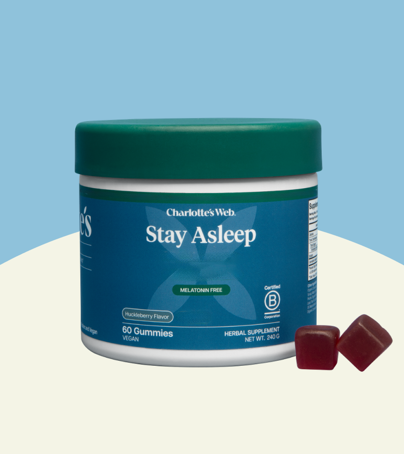 Jar of Charlotte's Web Stay Asleep gummies on a light blue background