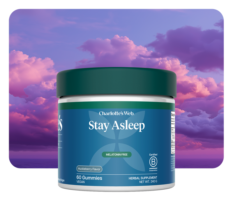 Jar of Charlotte's Web Stay Asleep gummies with a purple and pink sky background