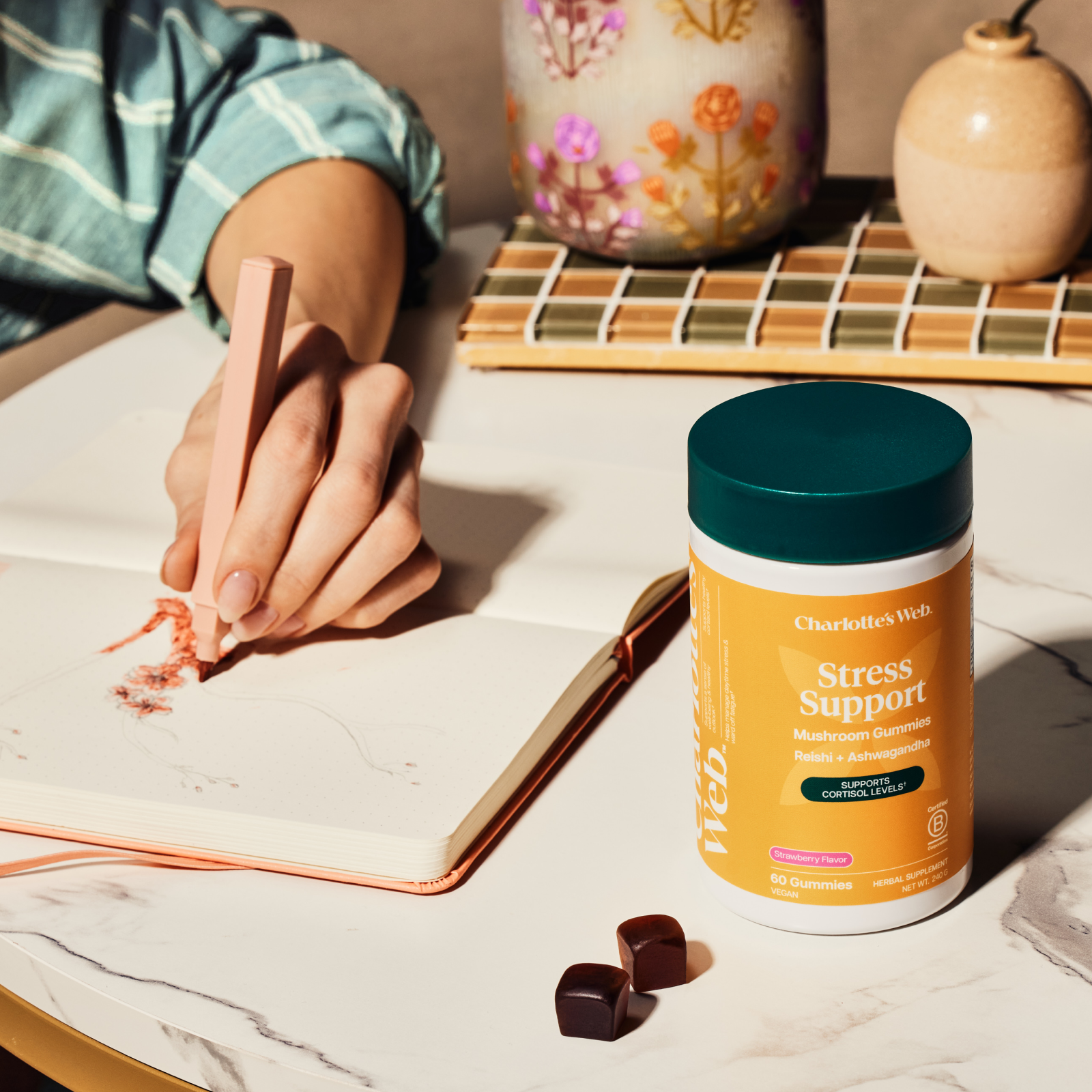 Product Image for Person writing in a notebook with a bottle of Charlotte&#39;s Web Stress Support supplement on a marble surface.