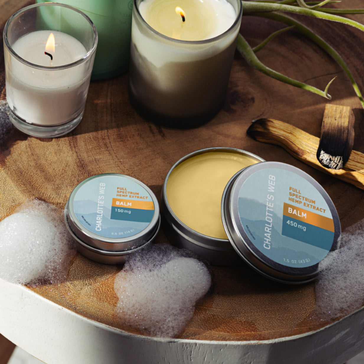balm_-_mobile_f7c3f118-e063-40ea-a68c-a27821258156.jpg