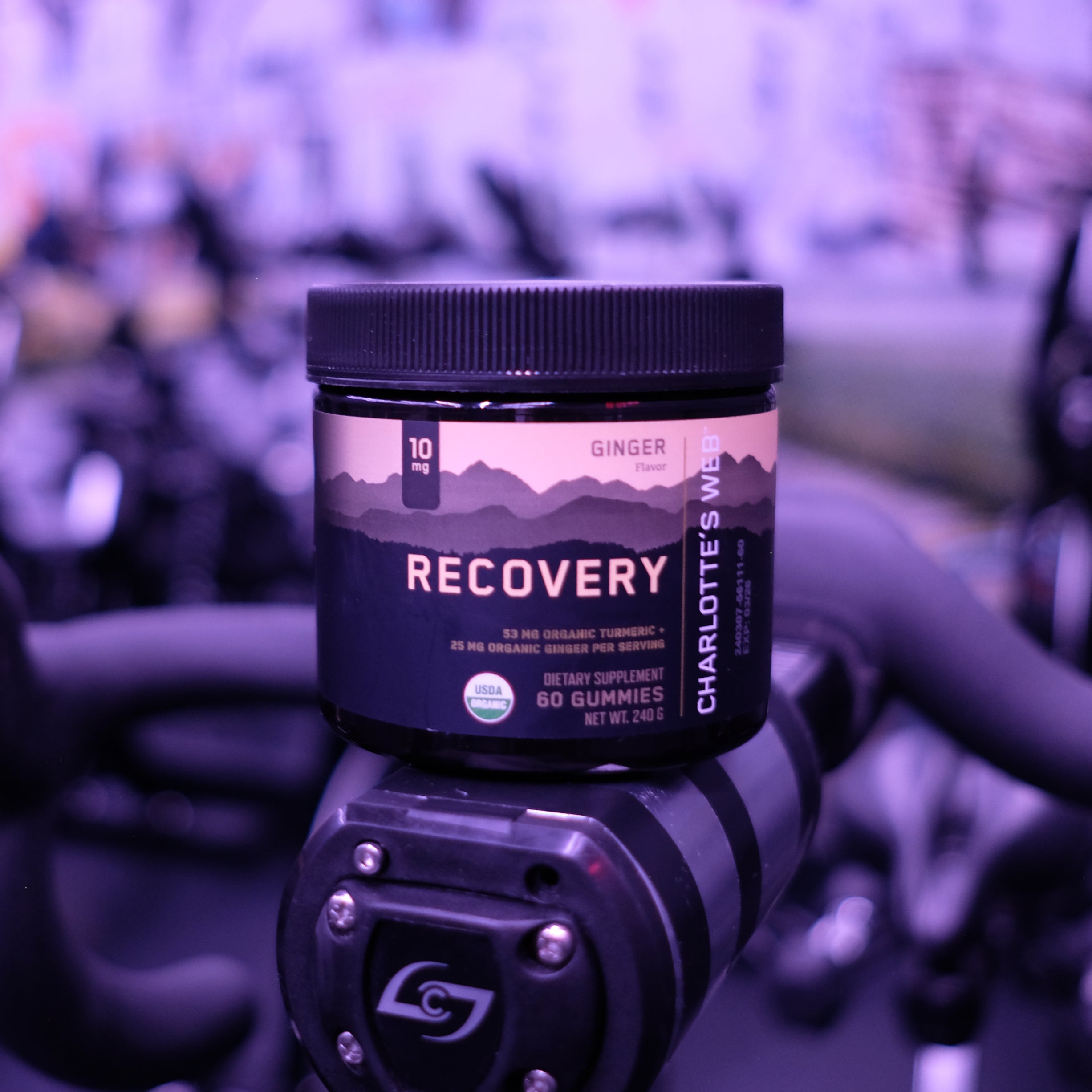 recovery_collection_tile_scrubbed.jpg
