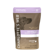 Skin & Allergy Chews for Dogs